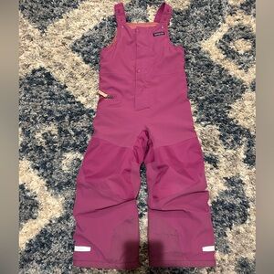 Girls Patagonia Snow pants